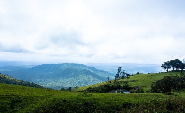 納納個人的 納納個人的