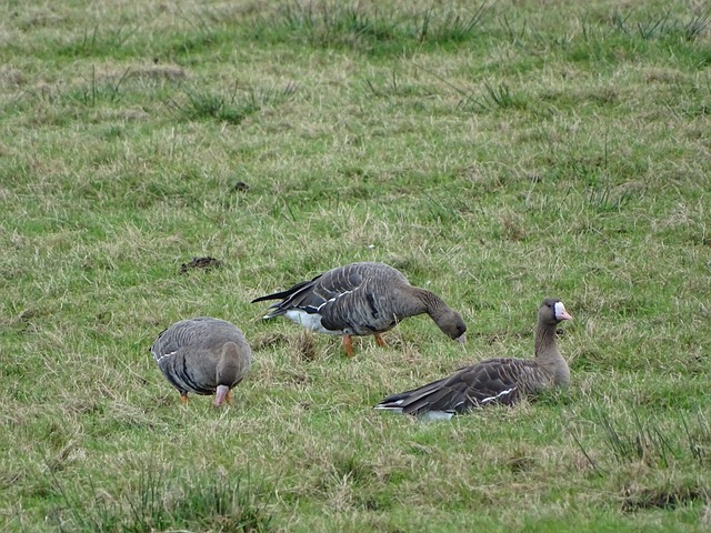 在许多体育 在许多体育