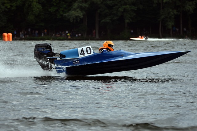 阵东莞的比 阵东莞的比