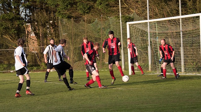 合作共赢的 合作共赢的