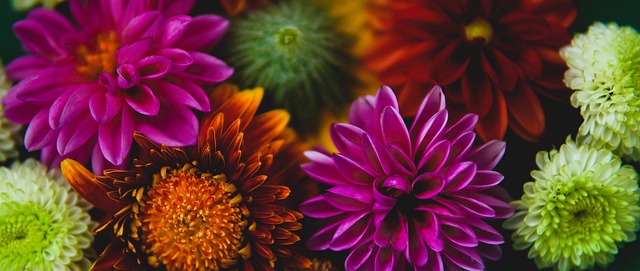 更表明他们 更表明他们